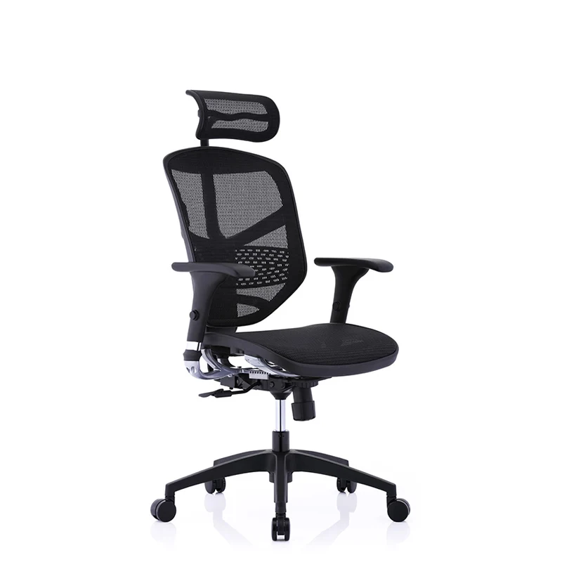 Ergohuman Enjoy Ergonomic Office Chair (Taiwan)