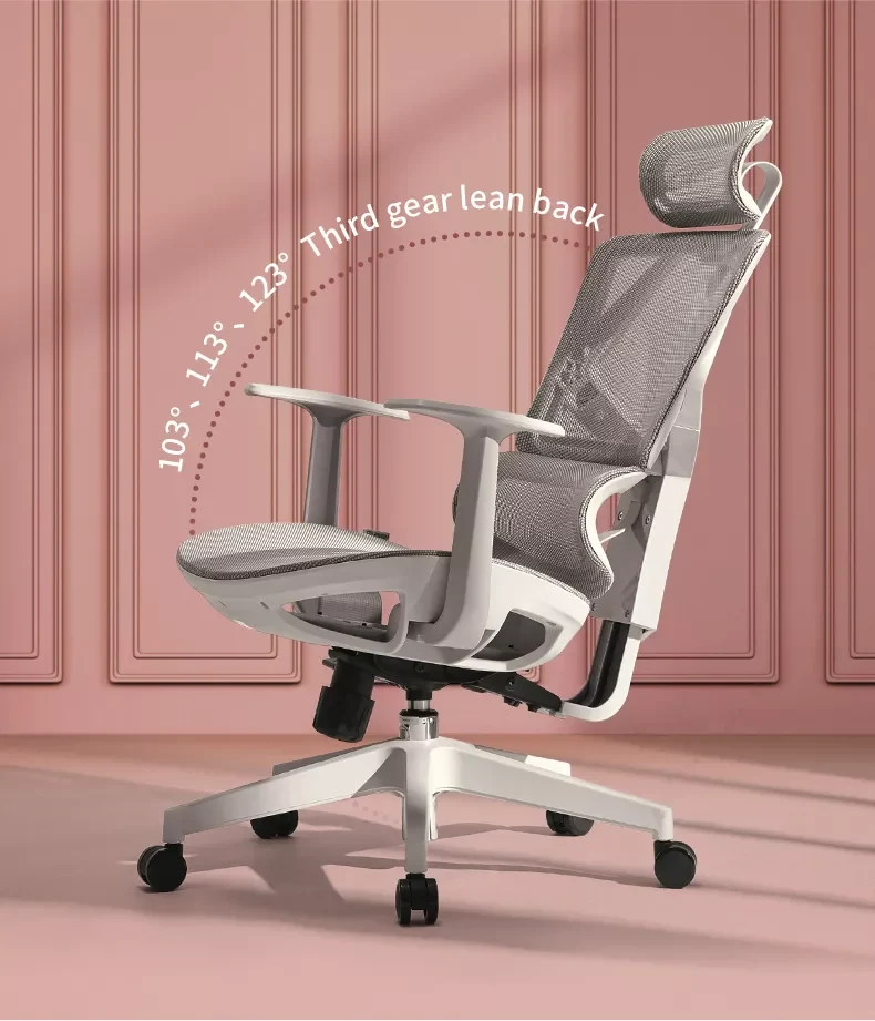 SIHOO M91 High Back Grey Ergonomic Mesh Office Chair (Suitable for teenager)