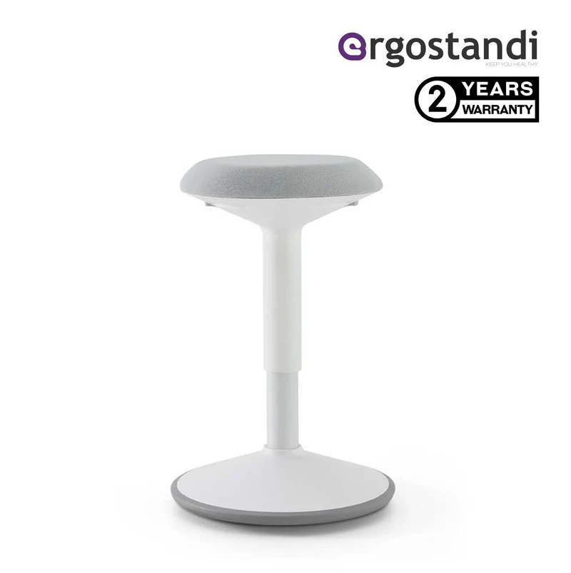 Ergostandi Ergonomic Stool - Wobble Chair ST5