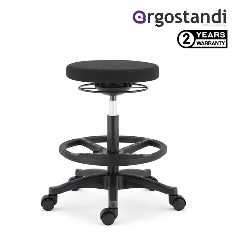 Ergostandi Ergonomic Stool - Wobble Chair R20