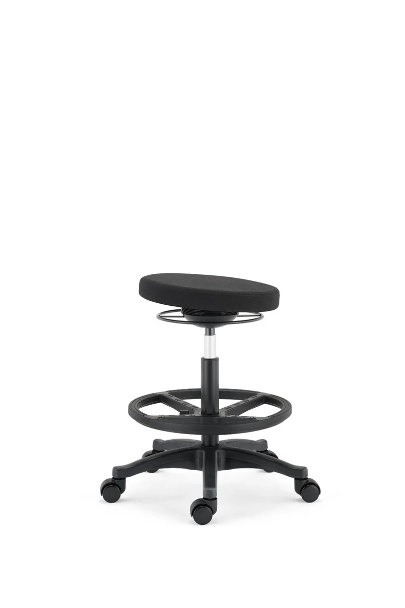 Ergostandi Ergonomic Stool - Wobble Chair R20