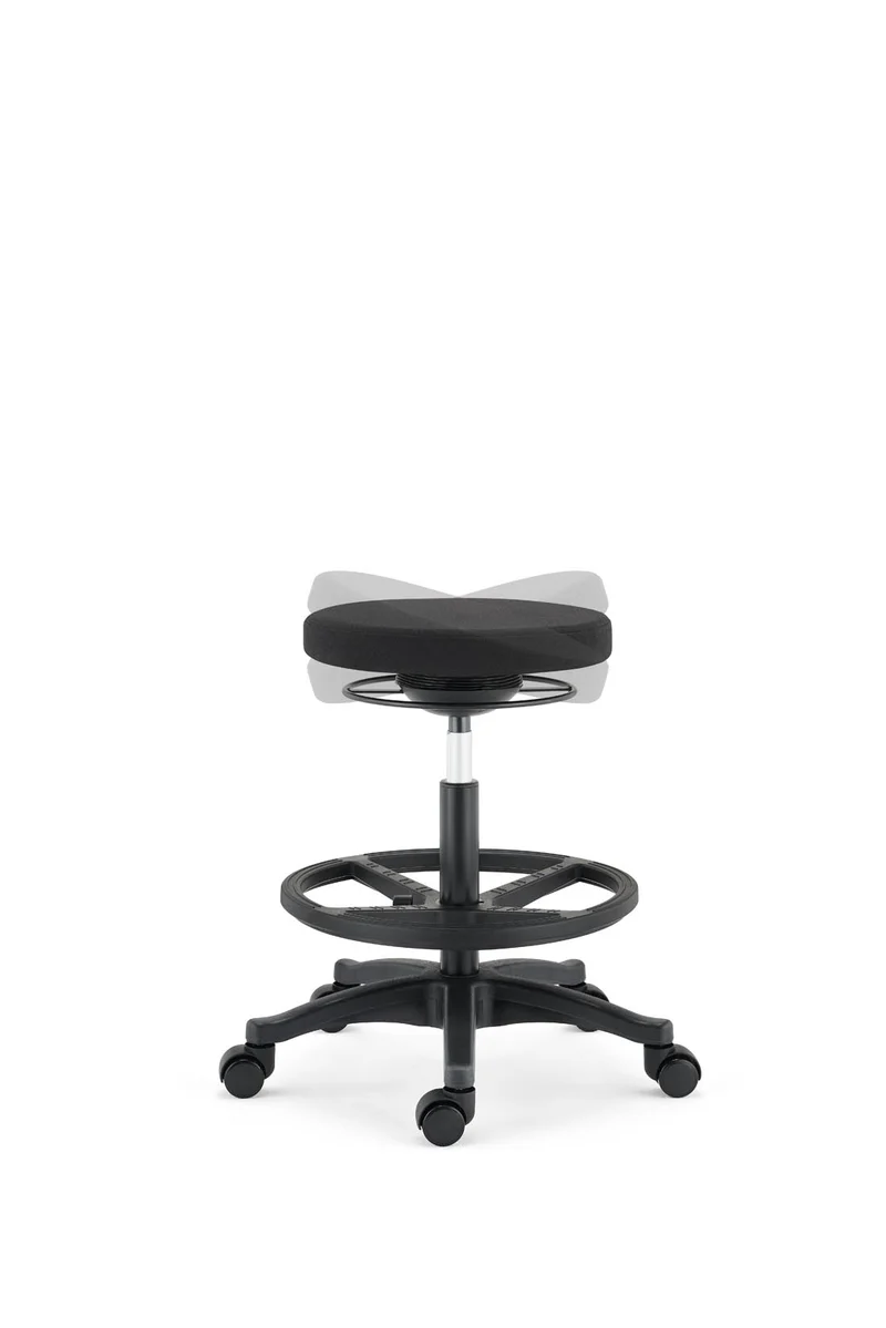 Ergostandi Ergonomic Stool - Wobble Chair R20