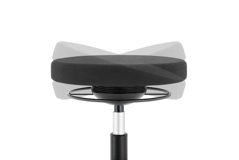 Ergostandi Ergonomic Stool - Wobble Chair R20