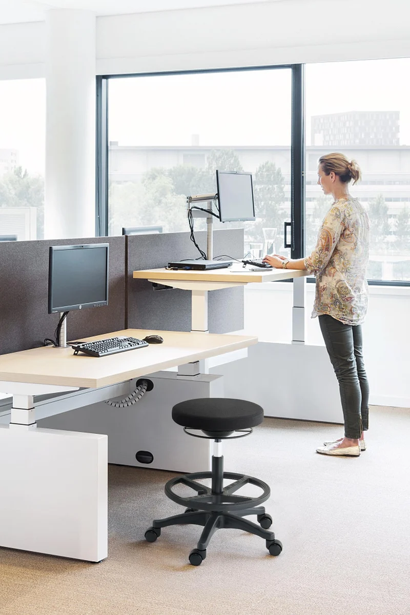 Ergostandi Ergonomic Stool - Wobble Chair R20