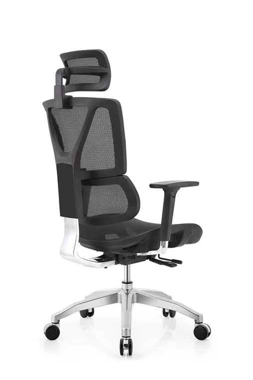 Surear Ergonomic Office chair-18B
