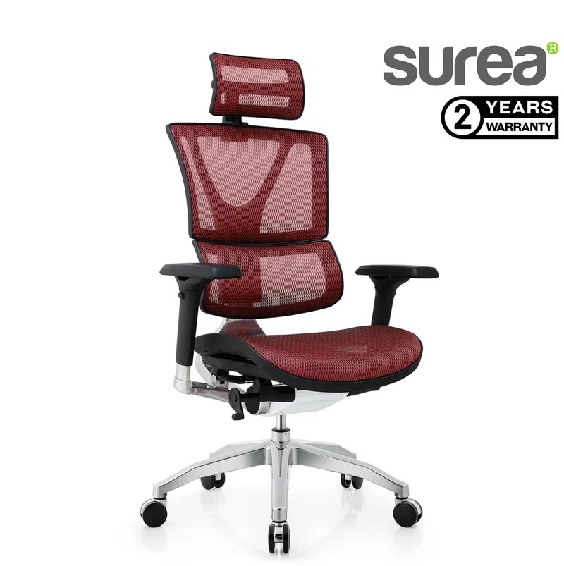Surear Ergonomic Office chair-18A