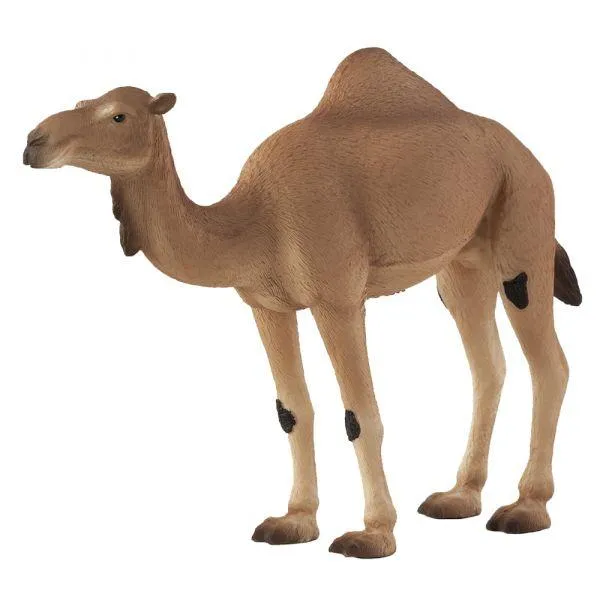 Animal Planet - Mojo - Arabian Camel