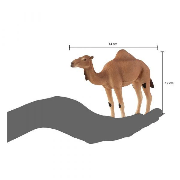 Animal Planet - Mojo - Arabian Camel