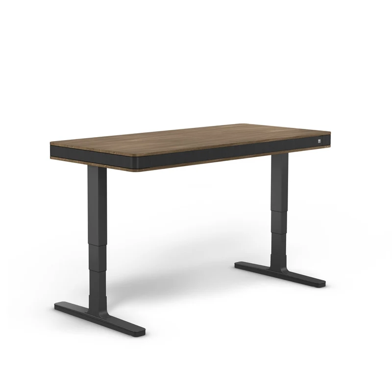 moll T7 Exclusive XL Black Ed. Electric Standing Desk