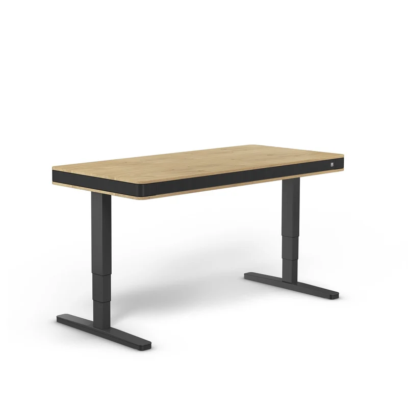 moll T7 Exclusive XL Black Ed. Electric Standing Desk