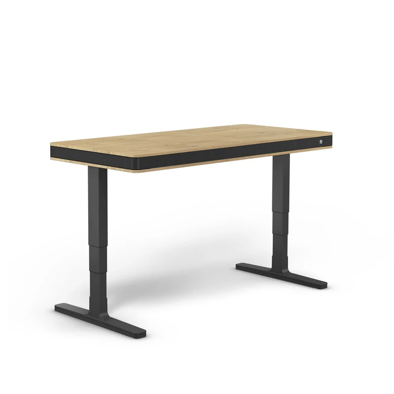 moll T7 Exclusive XL Black Ed. Electric Standing Desk