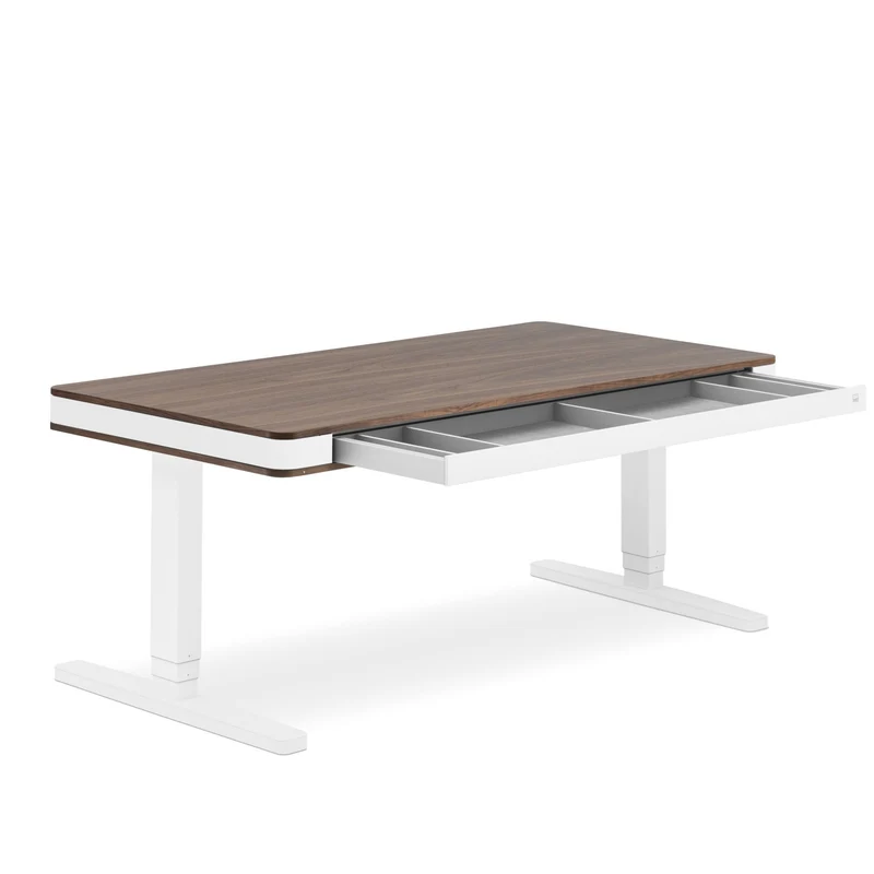 moll T7 Exclusive XL Black Ed. Electric Standing Desk