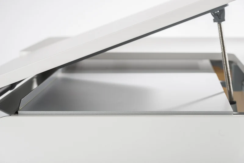 moll Drawer Cover - Champion/Winner
