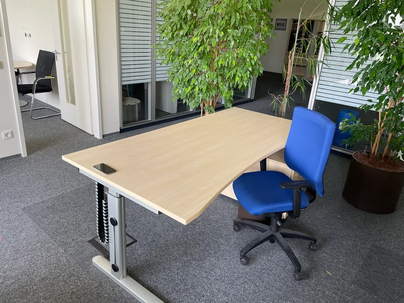 Ceka Elektrisch höhenverstellbarer Schreibtisch Ahorn