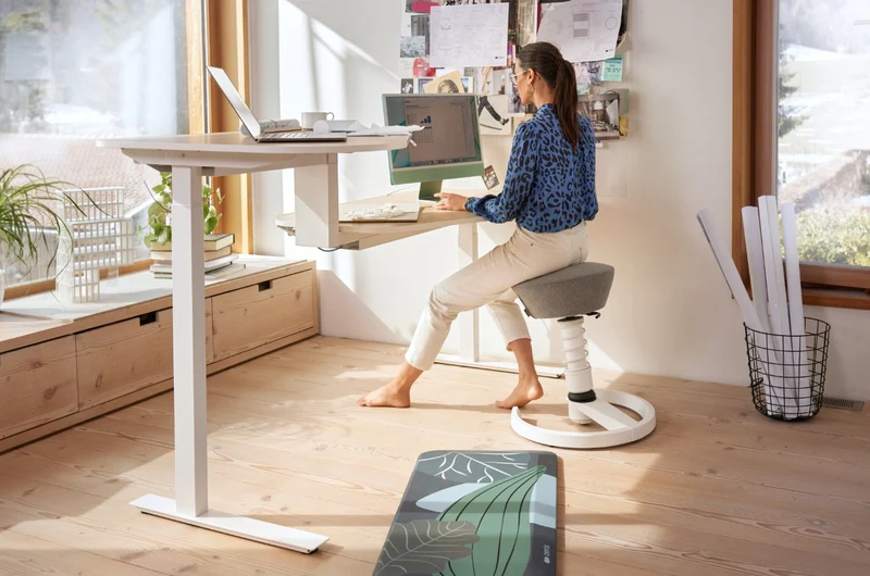 Aeris Active Office