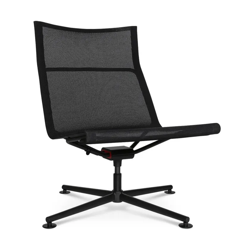 D1 Low Lounge in schwarz