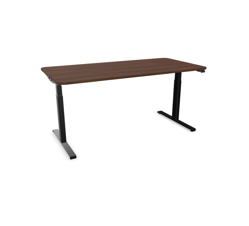 Hali Standing Desk S32 Black