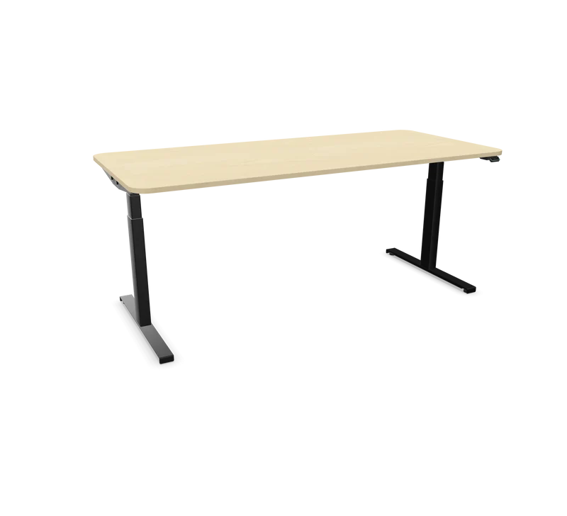 Hali Standing Desk S32 Black