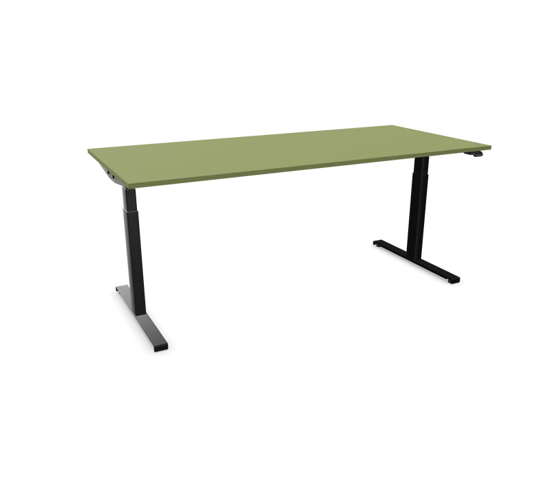 Hali Standing Desk S32 Black