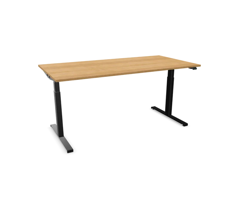 Hali Standing Desk S32 Black
