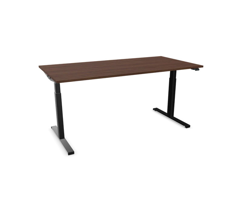 Hali Standing Desk S32 Black