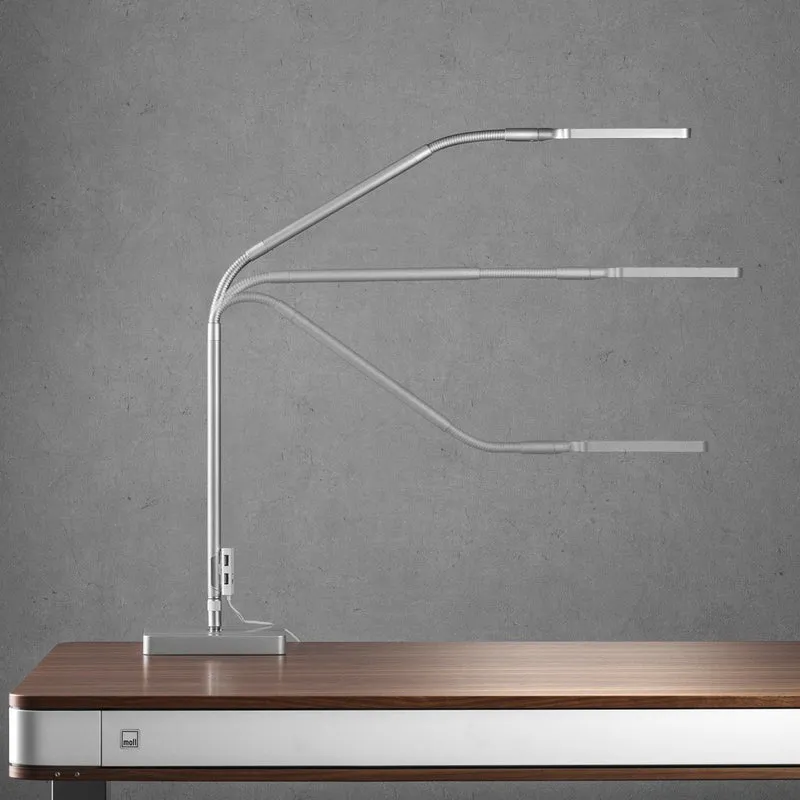 moll L7 Designer Lamp
