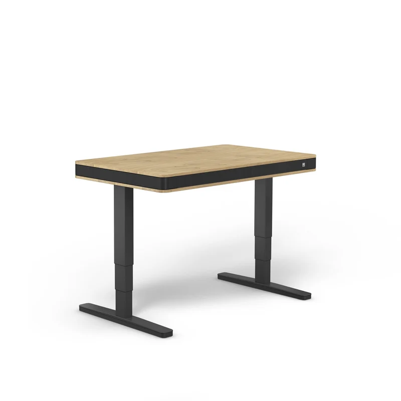 moll T7 Exclusive Black Ed. Electric Standing Desk