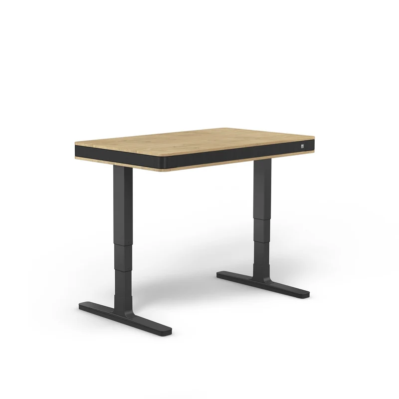 moll T7 Exclusive Black Ed. Electric Standing Desk