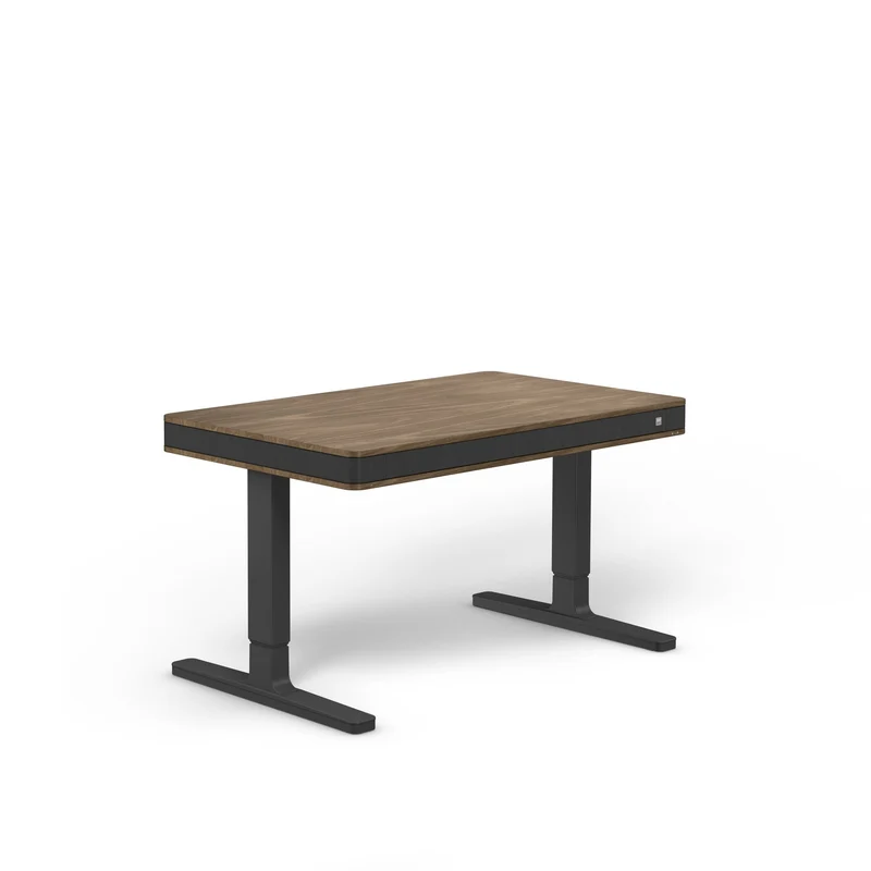 moll T7 Exclusive Black Ed. Electric Standing Desk