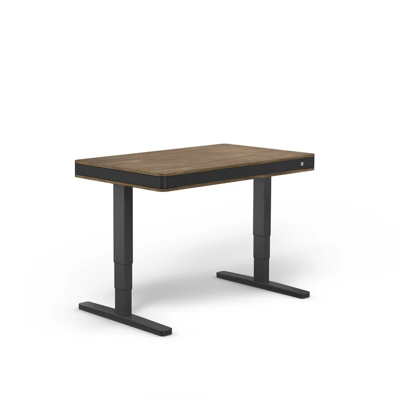 moll T7 Exclusive Black Ed. Electric Standing Desk