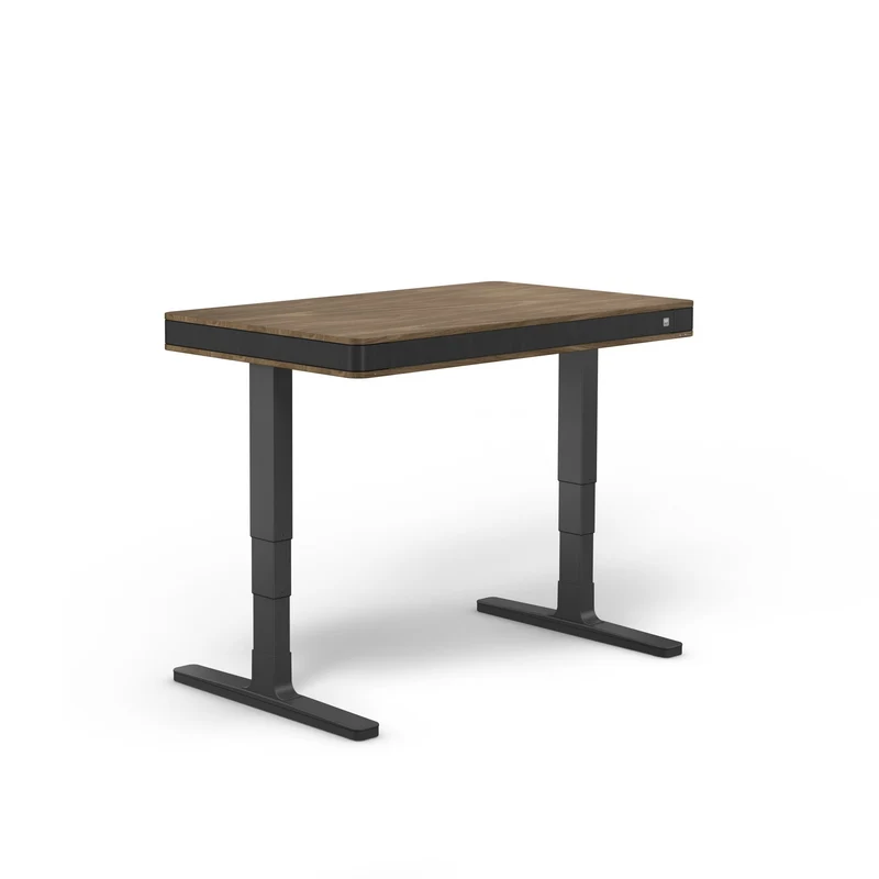 moll T7 Exclusive Black Ed. Electric Standing Desk