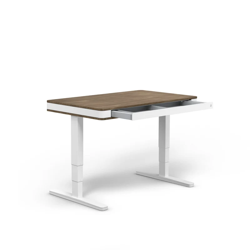 moll T7 Exclusive Black Ed. Electric Standing Desk