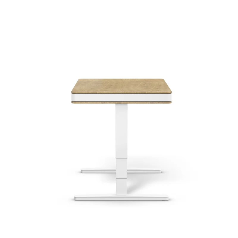 moll T7 Exclusive Black Ed. Electric Standing Desk