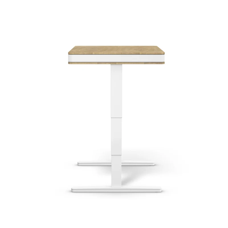 moll T7 Exclusive Black Ed. Electric Standing Desk