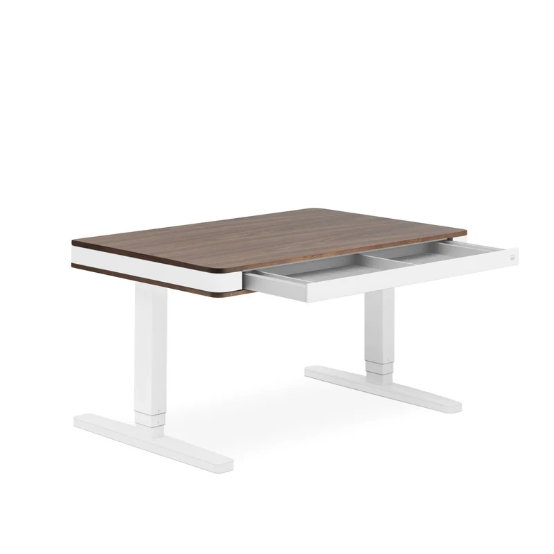 moll T7 Exclusive Black Ed. Electric Standing Desk