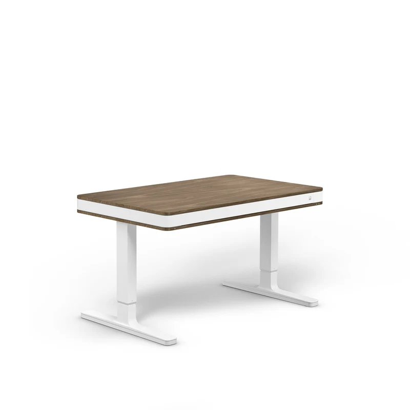 moll T7 Exclusive Electric Standing Desk
