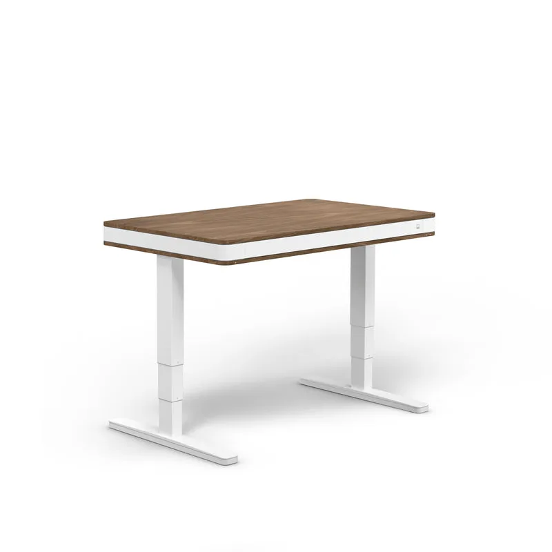 moll T7 Exclusive Electric Standing Desk