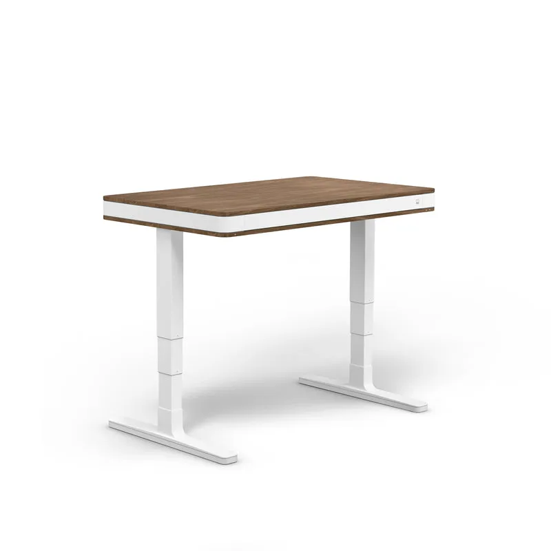 moll T7 Exclusive Electric Standing Desk