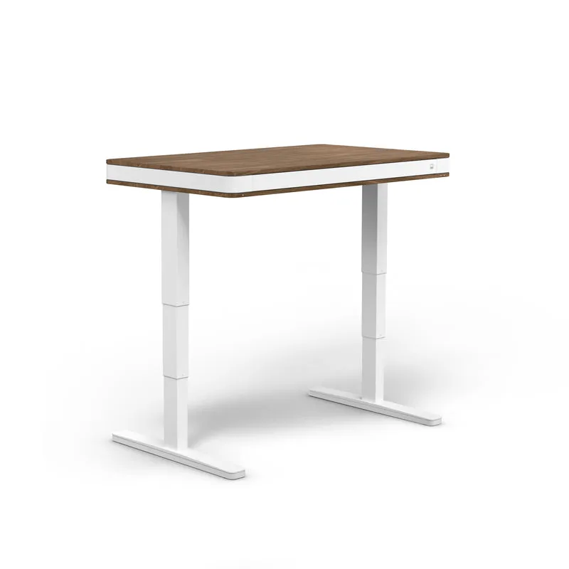 moll T7 Exclusive Electric Standing Desk