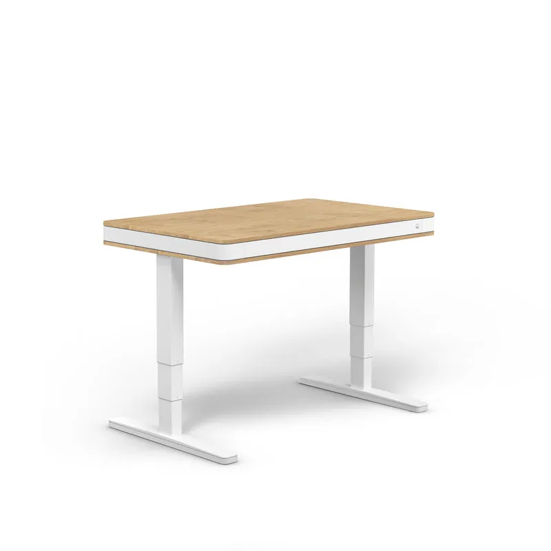 moll T7 Exclusive Electric Standing Desk