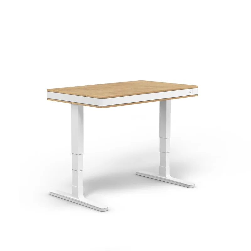 moll T7 Exclusive Electric Standing Desk