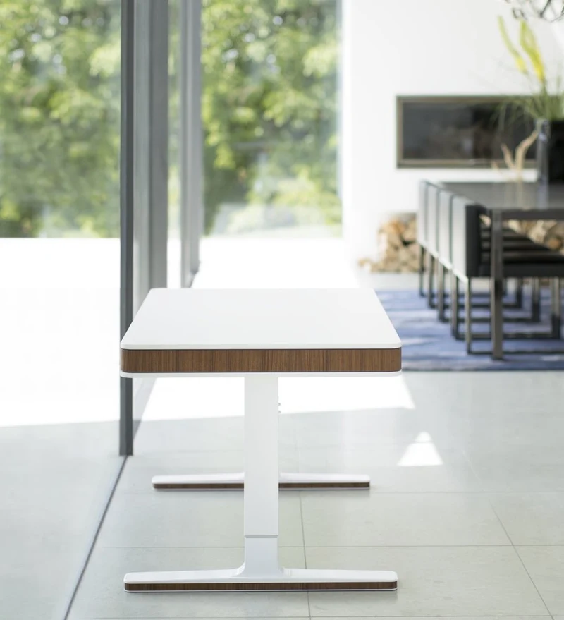 moll T7 Exclusive Electric Standing Desk