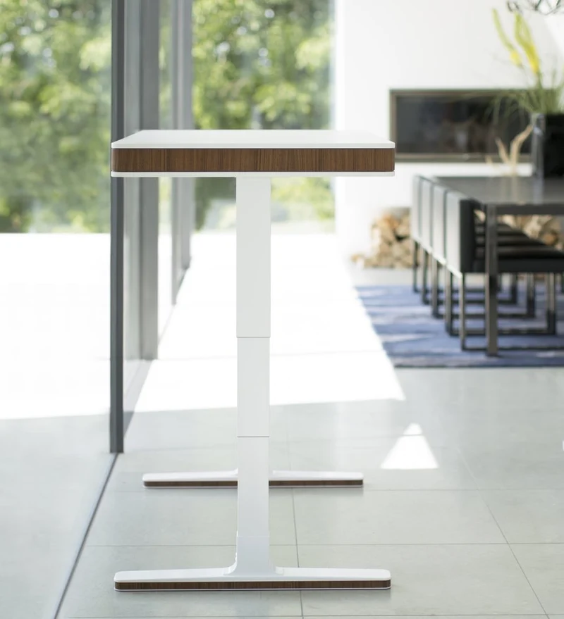 moll T7 Exclusive Electric Standing Desk
