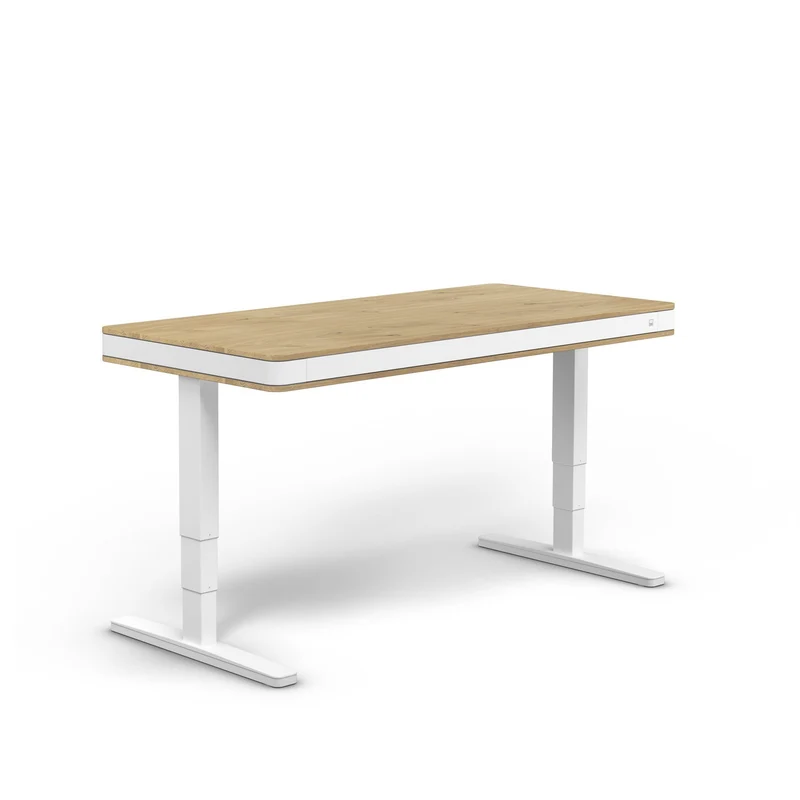 moll T7 Exclusive XL Electric Standing Desk