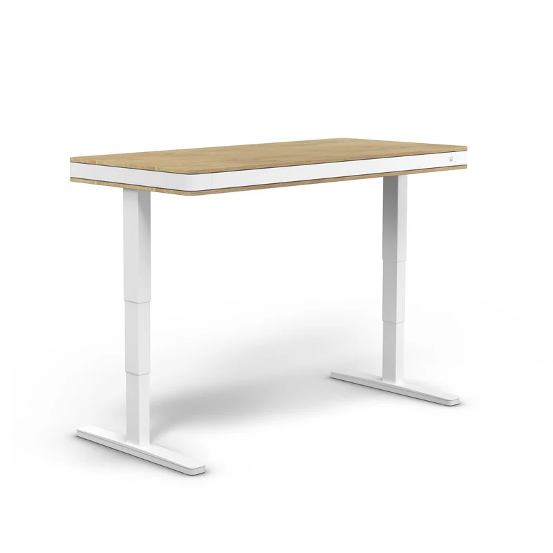 moll T7 Exclusive XL Electric Standing Desk