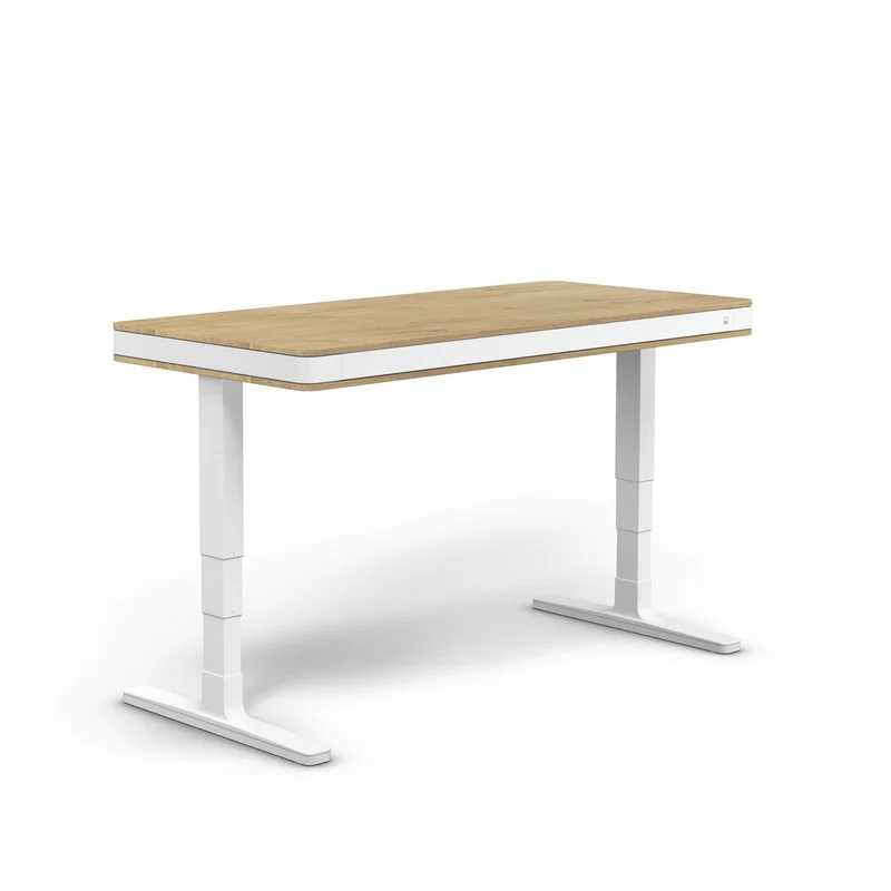 moll T7 Exclusive XL Electric Standing Desk