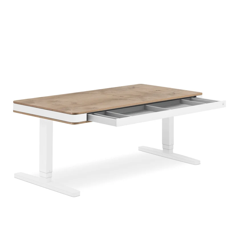 moll T7 Exclusive XL Electric Standing Desk