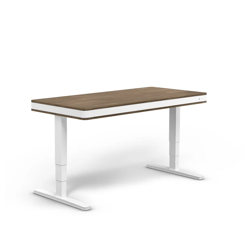 moll T7 Exclusive XL Electric Standing Desk