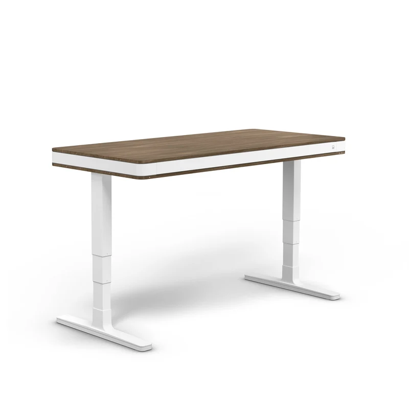 moll T7 Exclusive XL Electric Standing Desk