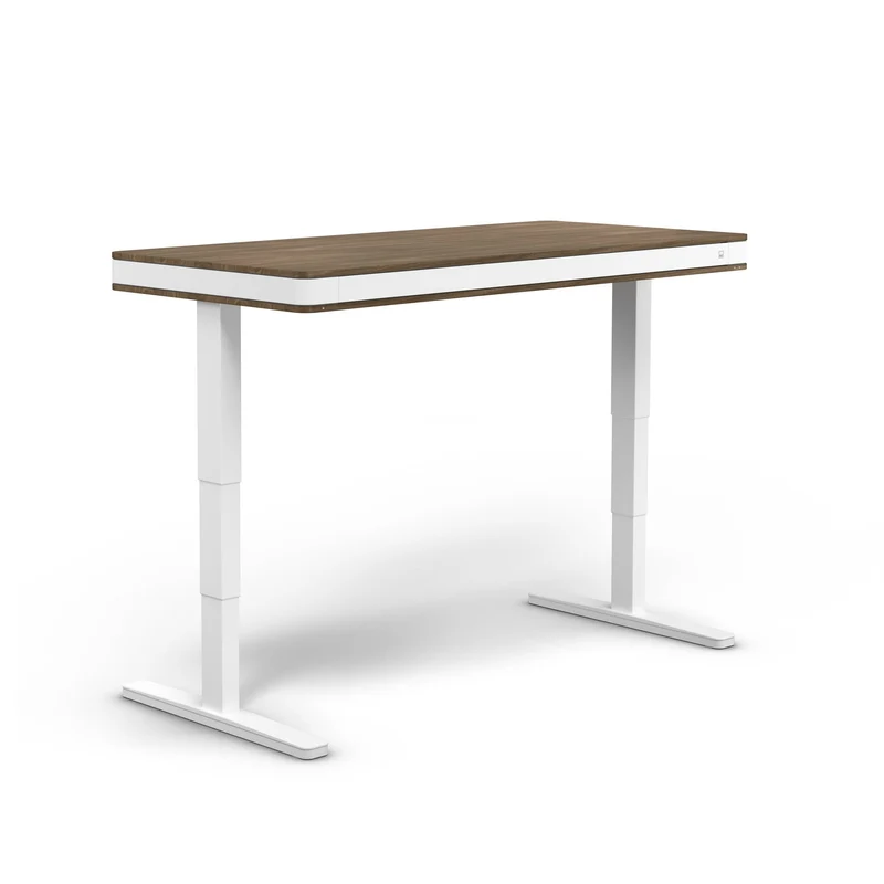 moll T7 Exclusive XL Electric Standing Desk